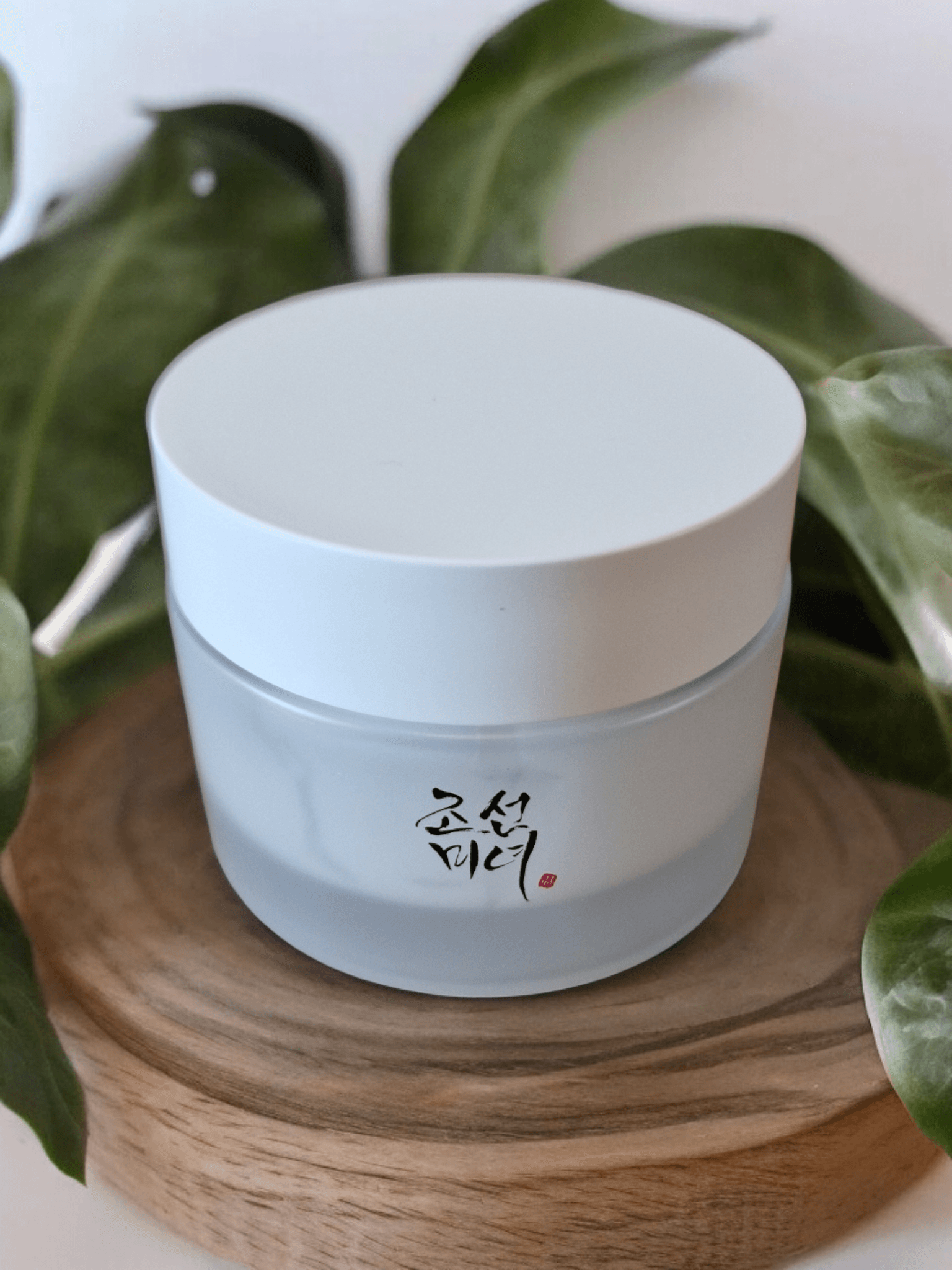 Beauty of Joseon - Dynasty Cream with plant in background on a wooden surface