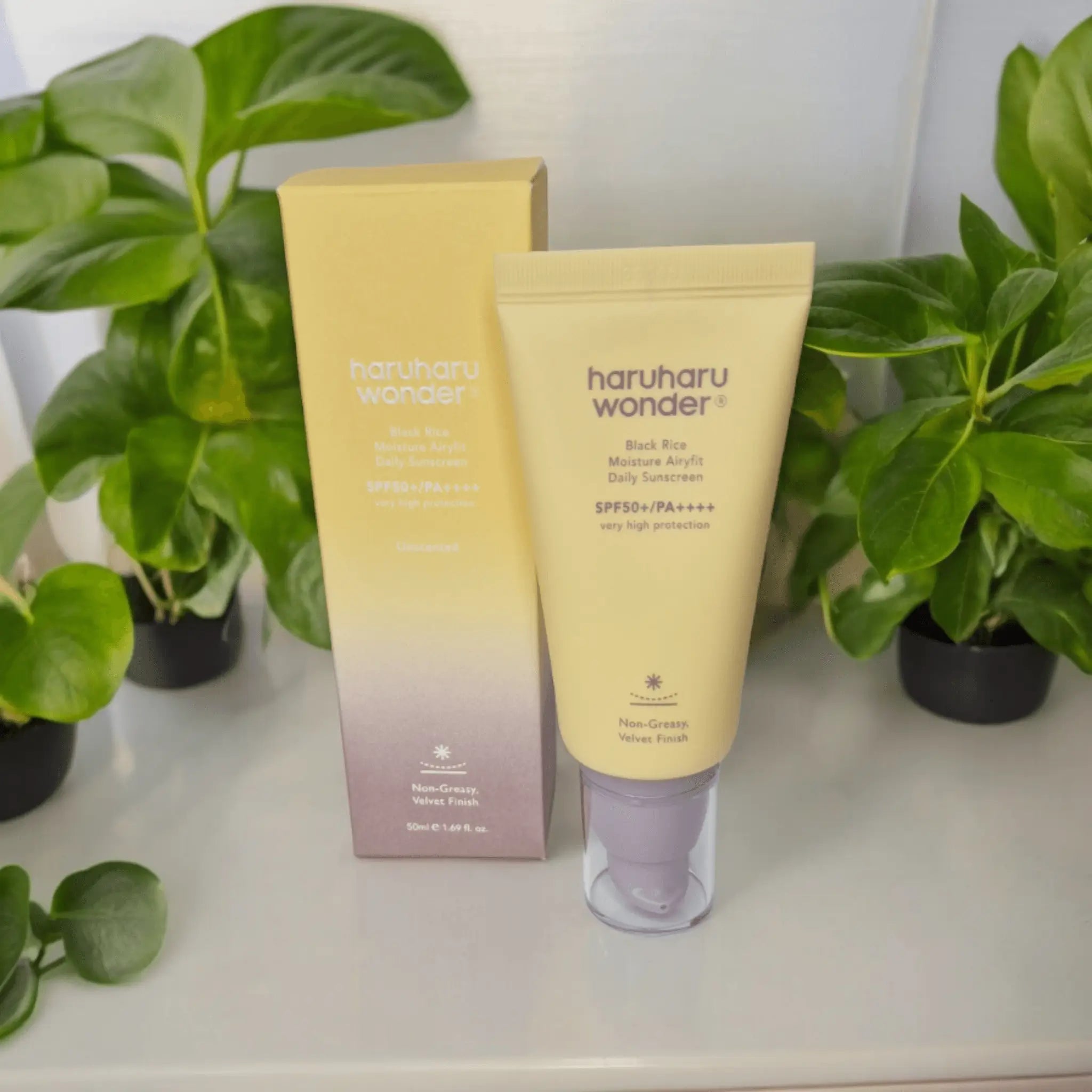 Haruharu Black Rice Moisture Airyfit Daily Sunscreen (50ml) Glow Yeosin 